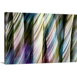 Large Gallery-Wrapped Canvas Wall Art Print 24 x 16 entitled A Walk In The Woods