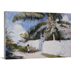 Large Gallery-Wrapped Canvas Wall Art Print 24 x 16 entitled A Garden in Nassau, 1885