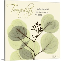Large Solid-Faced Canvas Print Wall Art Print 20 x 20 entitled Tranquility Eucalyptus x-ray photography