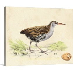 Large Gallery-Wrapped Canvas Wall Art Print 20 x 16 entitled Meyer Shorebirds III