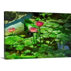 Large Gallery-Wrapped Canvas Wall Art Print 24 x 16 entitled Florida, Key West, Hemingway House, pond
