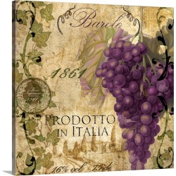 Large Solid-Faced Canvas Print Wall Art Print 20 x 20 entitled Vino Italiano II