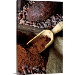 Large Solid-Faced Canvas Print Wall Art Print 20 x 30 entitled Cocoa fruit, cocoa beans and powder