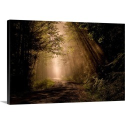 Large Gallery-Wrapped Canvas Wall Art Print 24 x 16 entitled A Moment In Time