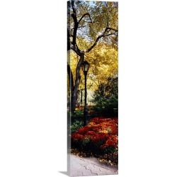 Large Gallery-Wrapped Canvas Wall Art Print 12 x 36 entitled Lamppost in a park, Central Park, Manhattan, New York City, N...