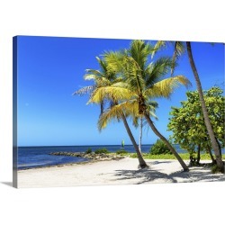 Large Gallery-Wrapped Canvas Wall Art Print 24 x 16 entitled Palms on a White Sand Beach in Key West