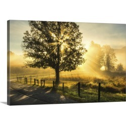 Large Gallery-Wrapped Canvas Wall Art Print 30 x 20 entitled Wake Up Call