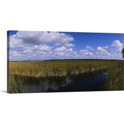 Large Gallery-Wrapped Canvas Wall Art Print 24 x 12 entitled Reflection of tall grass and cloud in water, Everglades Natio...
