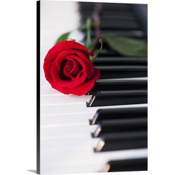 Large Solid-Faced Canvas Print Wall Art Print 20 x 30 entitled Close up of red rose lying on piano keys