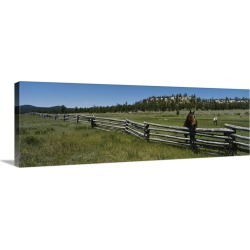 Large Gallery-Wrapped Canvas Wall Art Print 36 x 12 entitled Two horses in a field, Arizona