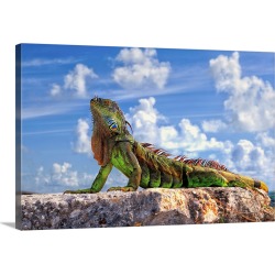 Large Gallery-Wrapped Canvas Wall Art Print 24 x 16 entitled Dragon Of Key West
