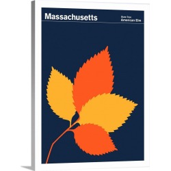 Large Solid-Faced Canvas Print Wall Art Print 30 x 40 entitled State Posters - Massachusetts State Tree: American Elm