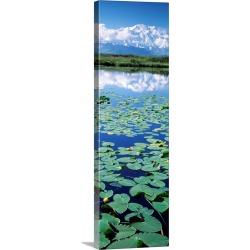 Large Solid-Faced Canvas Print Wall Art Print 16 x 48 entitled Denali National Park AK