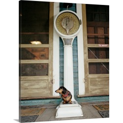 Large Solid-Faced Canvas Print Wall Art Print 24 x 30 entitled Miniature Dachshund on a weight scale