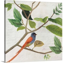 Large Solid-Faced Canvas Print Wall Art Print 20 x 20 entitled Singing Bird II
