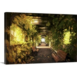 Large Gallery-Wrapped Canvas Wall Art Print 24 x 16 entitled A vine covered tunnel with seats