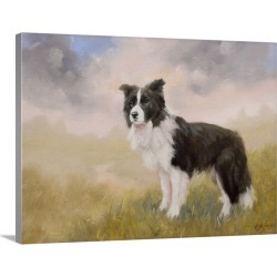 Large Gallery-Wrapped Canvas Wall Art Print 30 x 23 entitled Border Collie In A Field