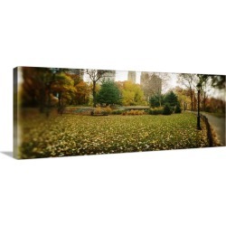 Large Gallery-Wrapped Canvas Wall Art Print 48 x 19 entitled Trees in a park Central Park Manhattan New York City New York...