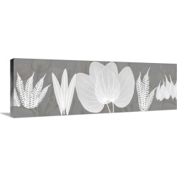 Large Solid-Faced Canvas Print Wall Art Print 48 x 16 entitled Grey Beauty x-ray photography