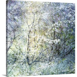 Large Solid-Faced Canvas Print Wall Art Print 24 x 24 entitled Floral Froth II found on Bargain Bro from Great Big Canvas for USD $163.39