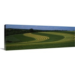 Large Gallery-Wrapped Canvas Wall Art Print 36 x 12 entitled Curving crops in a field, Illinois