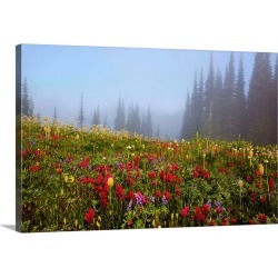 Large Gallery-Wrapped Canvas Wall Art Print 30 x 20 entitled Wildflowers in a field, Washington