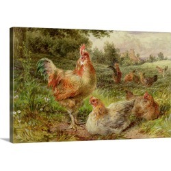 Large Solid-Faced Canvas Print Wall Art Print 30 x 20 entitled Cochin China Fowls, 19th century