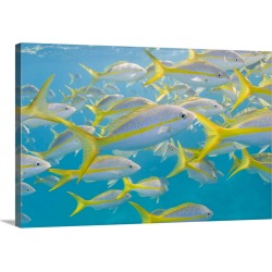 Large Gallery-Wrapped Canvas Wall Art Print 24 x 16 entitled Key Largo, Florida