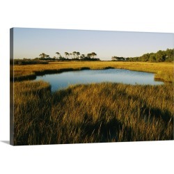 Large Gallery-Wrapped Canvas Wall Art Print 24 x 16 entitled A salt marsh in Assateague Island, Virginia