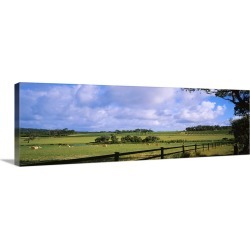 Large Gallery-Wrapped Canvas Wall Art Print 36 x 12 entitled Hay bales in a field, Australia