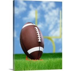 Large Solid-Faced Canvas Print Wall Art Print 30 x 40 entitled Football And Field Goal