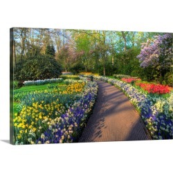 Large Gallery-Wrapped Canvas Wall Art Print 24 x 16 entitled Pathway In Kuekenhof Gardens With Hyacinths, Daffodils, Tulip...