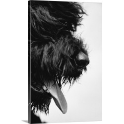 Large Gallery-Wrapped Canvas Wall Art Print 16 x 24 entitled Furry Dog Panting