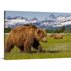 Large Gallery-Wrapped Canvas Wall Art Print 30 x 20 entitled Grizzly Bears At Hallo Bay In Katmai National Park