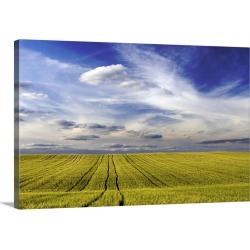 Large Solid-Faced Canvas Print Wall Art Print 30 x 20 entitled Wheat field, Andalusia, Spain