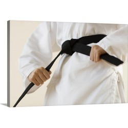 Large Solid-Faced Canvas Print Wall Art Print 30 x 20 entitled Martial Arts