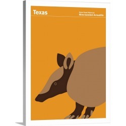Large Solid-Faced Canvas Print Wall Art Print 30 x 40 entitled State Posters - Texas State Small Mammal: Nine-banded Armad...
