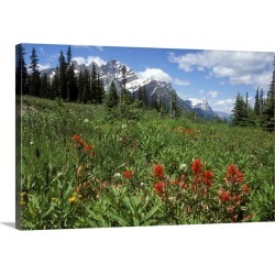 Large Gallery-Wrapped Canvas Wall Art Print 30 x 20 entitled Indian Paintbrush in field near Peyto Lake in Banff National ...