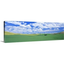 Large Solid-Faced Canvas Print Wall Art Print 48 x 16 entitled Fields Whitman County WA