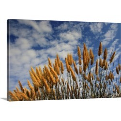Large Solid-Faced Canvas Print Wall Art Print 30 x 20 entitled Wheat in field against sky