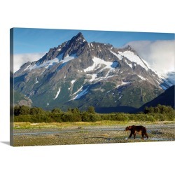 Large Gallery-Wrapped Canvas Wall Art Print 30 x 20 entitled Brown Bear, Katmai National Park, Alaska