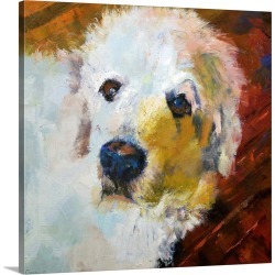 Large Gallery-Wrapped Canvas Wall Art Print 16 x 16 entitled Great Pyrenees