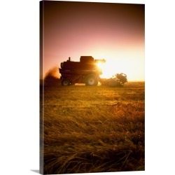 Large Solid-Faced Canvas Print Wall Art Print 20 x 30 entitled A combine harvests wheat in late afternoon with wheat stubb...