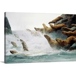 Large Solid-Faced Canvas Print Wall Art Print 36 x 24 entitled Steller Sea lions take to the waters of the Gulf of Alaska ... found on Bargain Bro Philippines from Great Big Canvas for $264.99