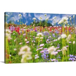 Large Gallery-Wrapped Canvas Wall Art Print 24 x 16 entitled Wildflowers In A Meadow In Mt. Rainier National Park, Washington