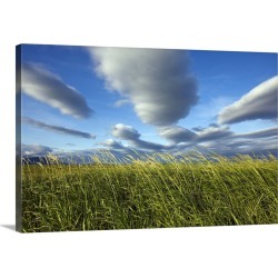 Large Gallery-Wrapped Canvas Wall Art Print 30 x 20 entitled Coastal Meadow At Hallo Bay In Katmai National Park