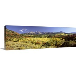 Large Solid-Faced Canvas Print Wall Art Print 48 x 16 entitled Aspen trees on a landscape, Sneffels Range, Colorado