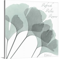Large Solid-Faced Canvas Print Wall Art Print 20 x 20 entitled Gingko Refresh x-ray photography