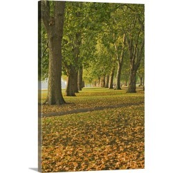 Large Solid-Faced Canvas Print Wall Art Print 20 x 30 entitled Autumn, Hyde Park, London, England