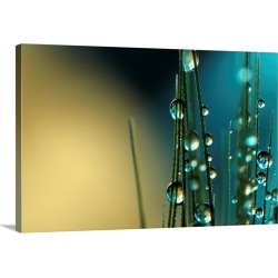 Large Solid-Faced Canvas Print Wall Art Print 30 x 20 entitled Grass Seed with Blue